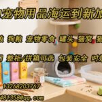 宠物用品海运到新加坡——安全经济高效的一站式服务
