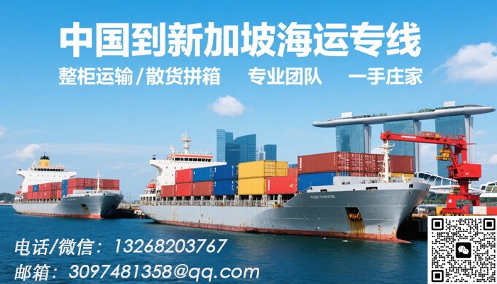 中国到新加坡整柜/拼箱海运操作指南