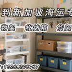 收纳箱、置物架、货架从中国海运到新加坡的一站式双清到门运输方案解析