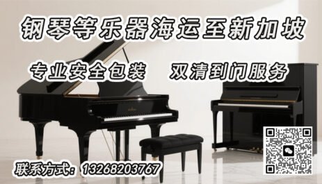 乐器海运，专业乐器包装＋新加坡海运一站式双清到门解决方案