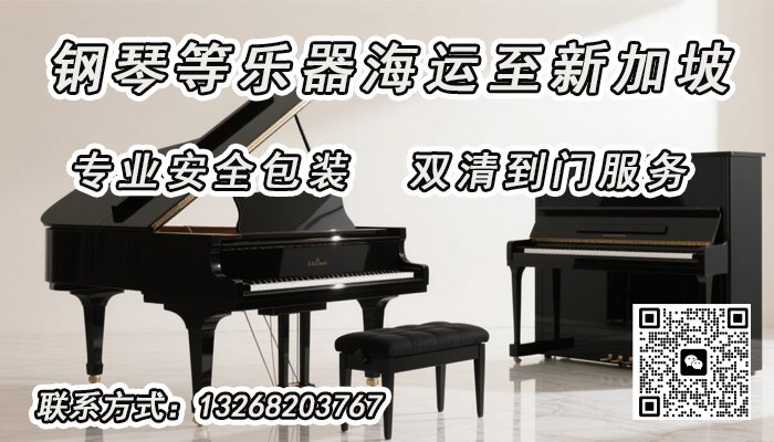 乐器海运，专业乐器包装＋新加坡海运一站式双清到门解决方案