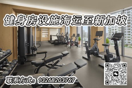 专业健身房设施海运解决方案：从中国直达新加坡，高效省心