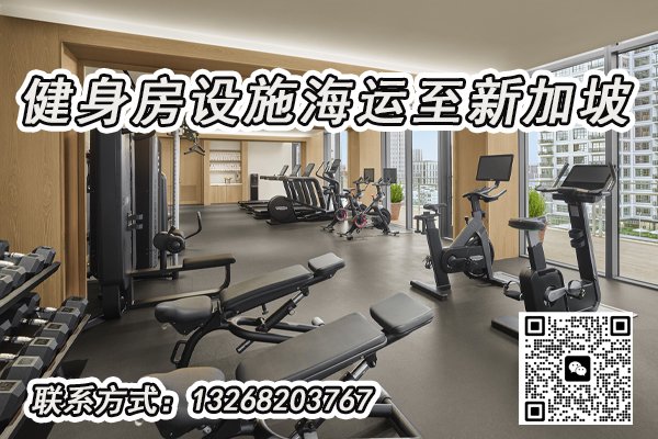 专业健身房设施海运解决方案：从中国直达新加坡，高效省心